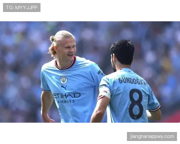 哈兰德与卢卡库：身体型中锋的终结效率及战术角色对比分析